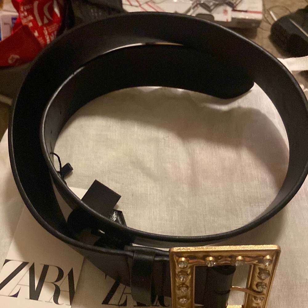 Zara Decorative Belt NWT